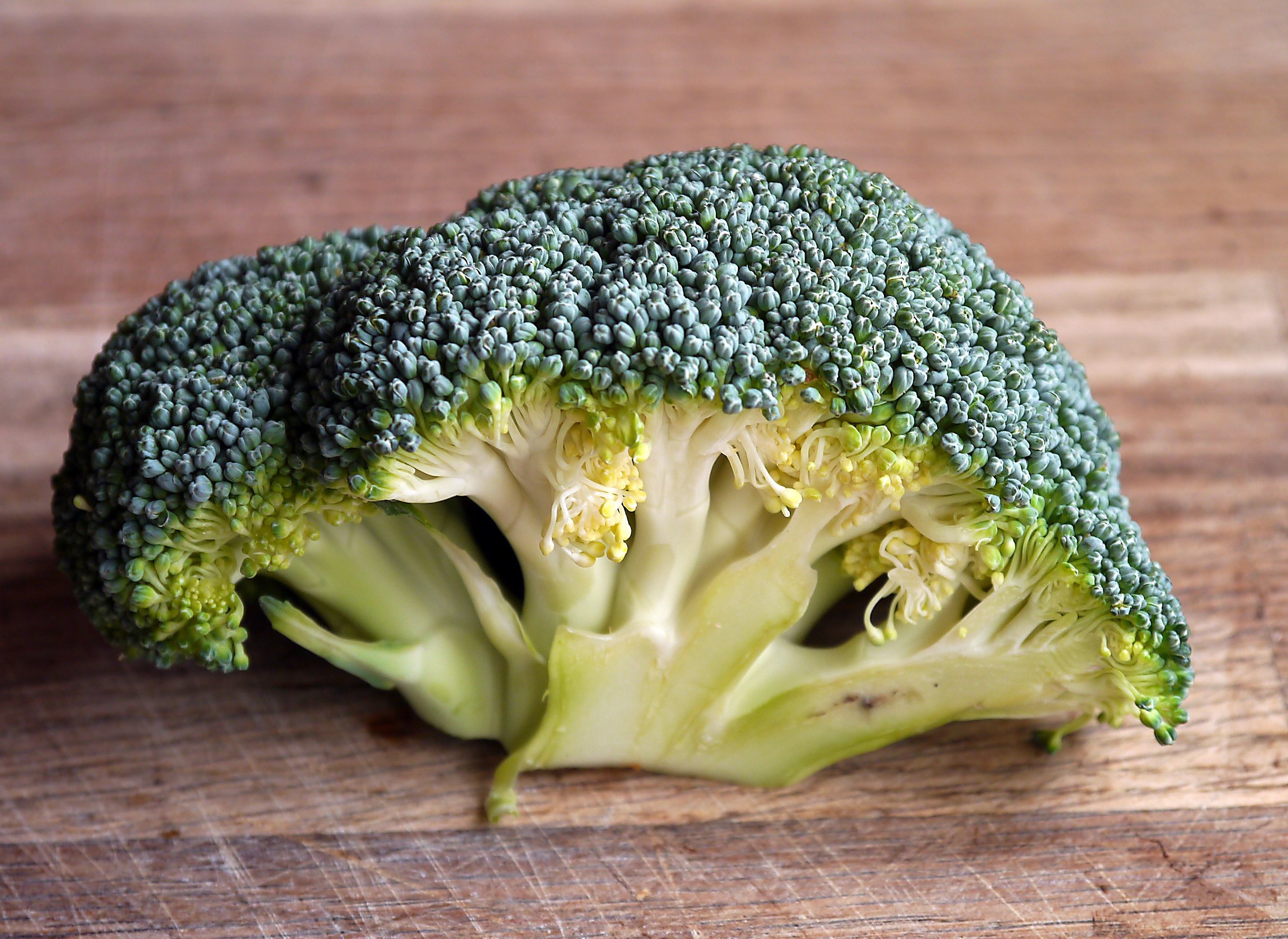 Roasted Broccoli Cheddar Soup
